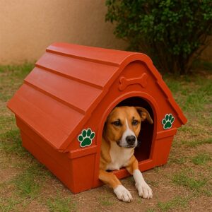 Casa para Mascota